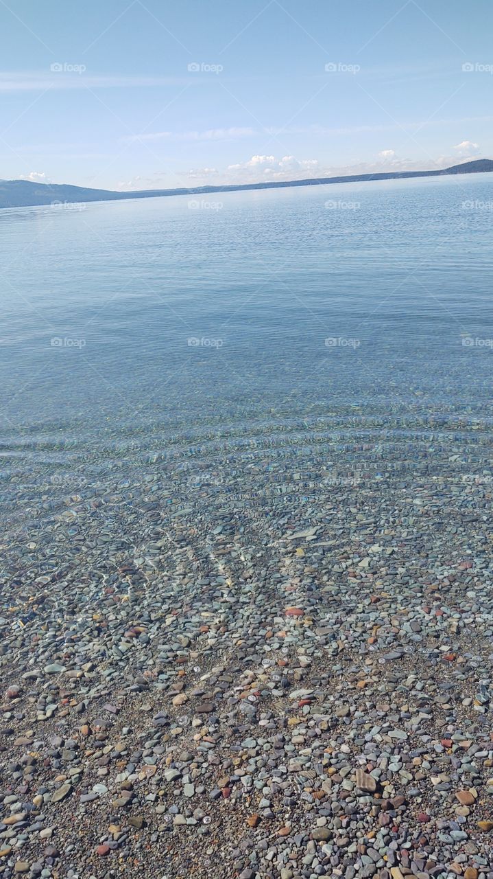 Flathead lake