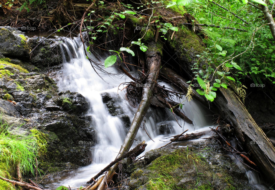 This is a portion of Cascade Creek along the Cascade Trail at Moran State Park on Orcas Island. The hike is fairly easy, but what really makes the trip worth while are all the small waterfalls you pass as you make your way down trail towards Cascade Falls. Each waterfall you encounter along the way is as unique and beautiful as the geological formations of the rock (formed at least in part by a great glacier that sat in what is now Moran State Park) that the water rushes over. This particular formation sits about halfway between the northern trail head and Cascade Falls.