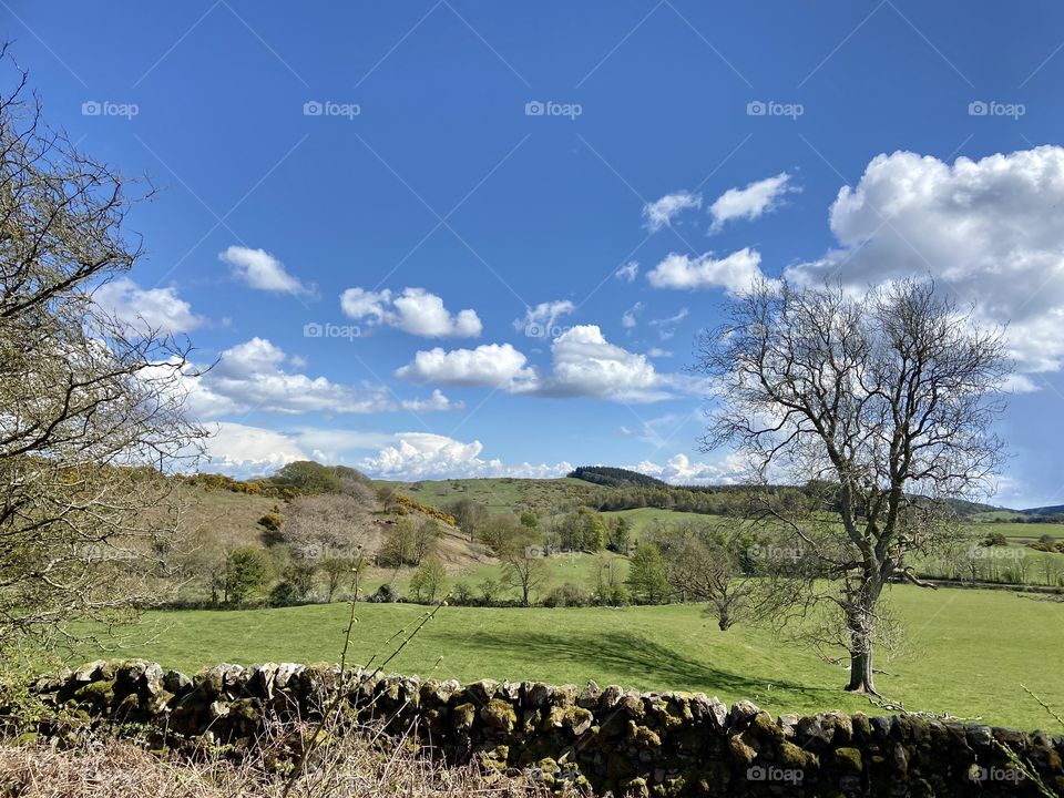 A lovely walk around Palnackie area with my partner. It was a lovely day in spring (Scotland, UK).