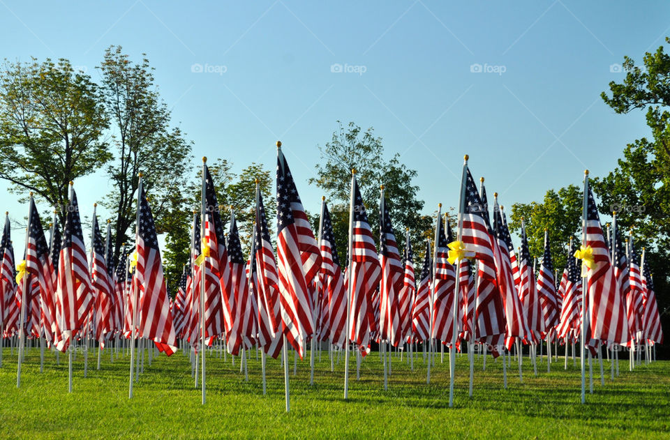 Flags