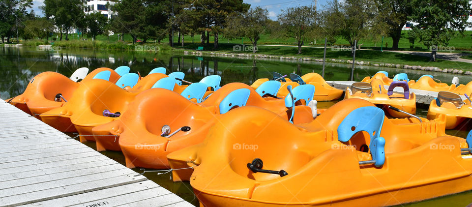 Paddle boats docked along a river