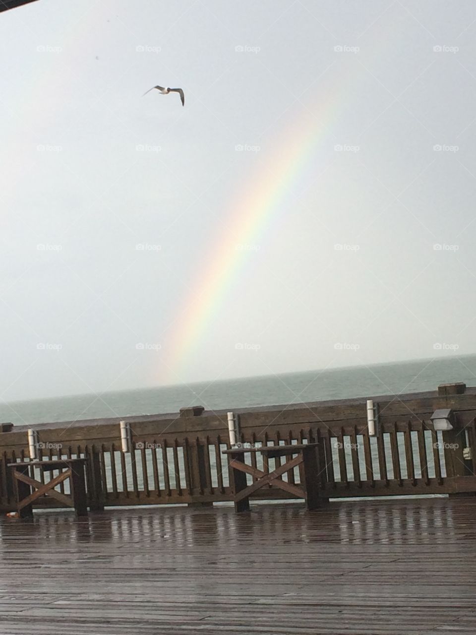 Pier rainbow