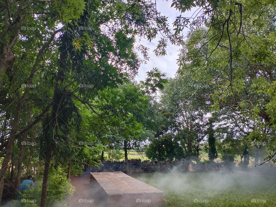 Do men only take a morning walk? no see my image even animals also go for a walk. it's nice to see the nature and it's creatures walking together