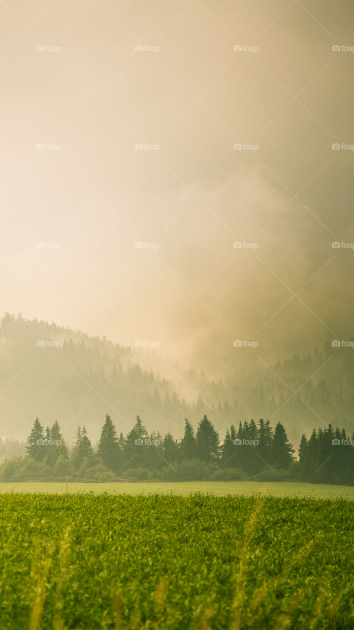 An inspiring mountain landscape. Tatry mountains in Slovakia. A beautiful wallpaper for smartphone screen. Warm summer haze, abstract gradient with perspective.