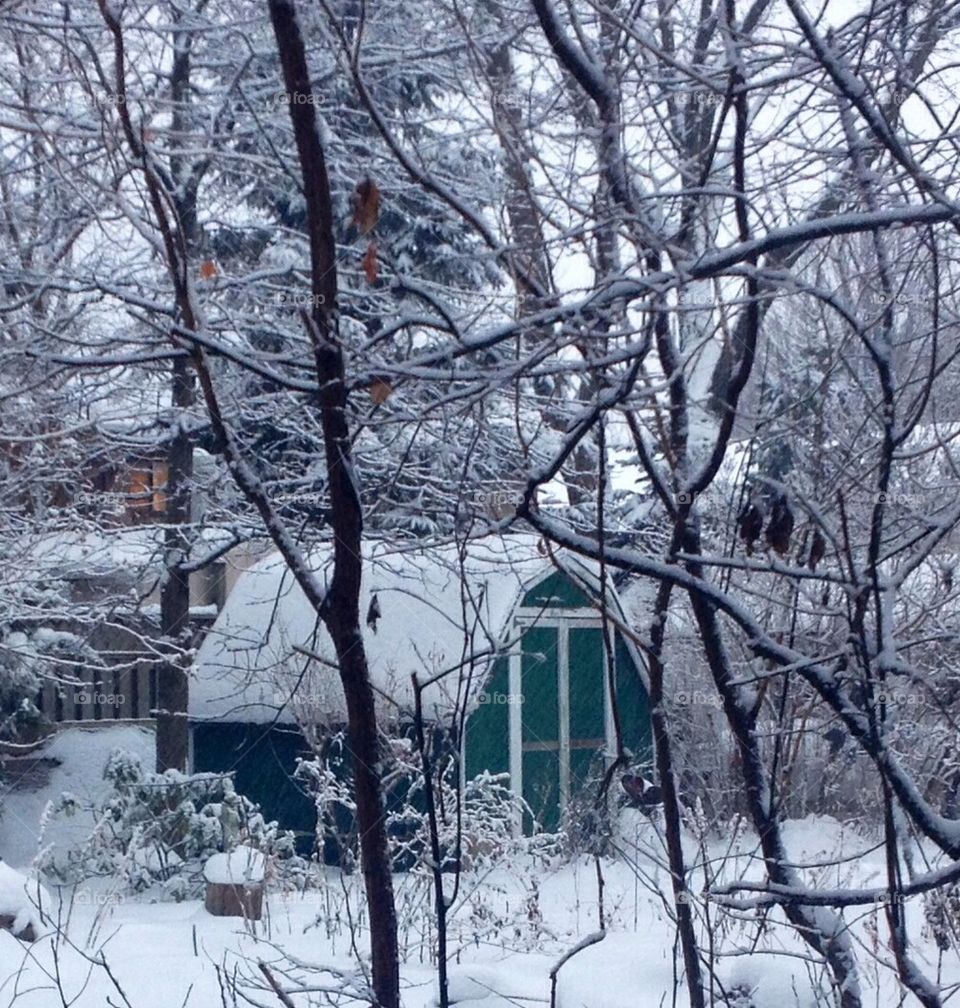 Winter 2014