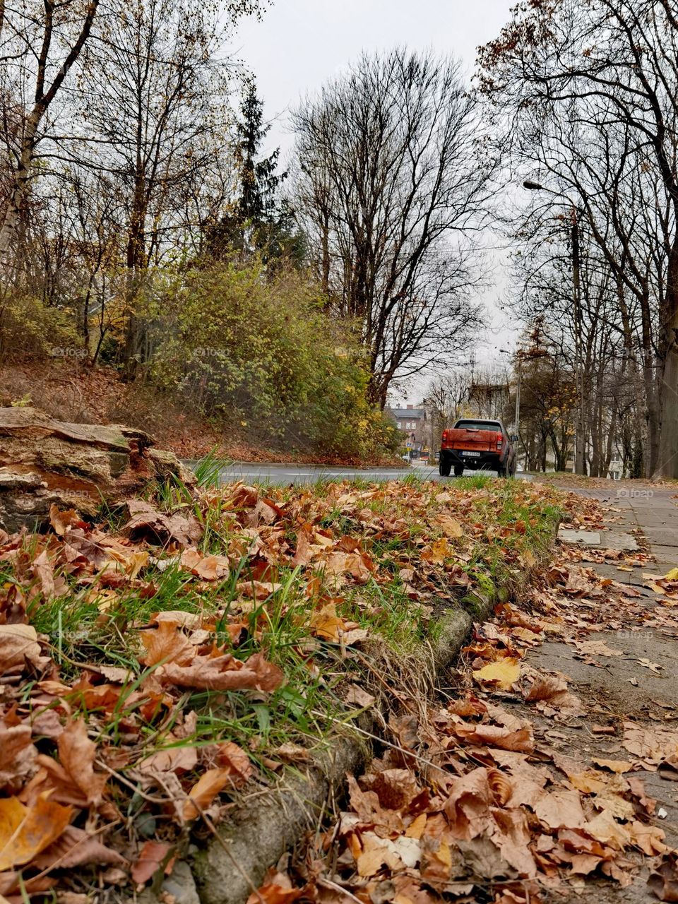 Autumn leaves fall in one of streets in Bielsko Biała Poland 