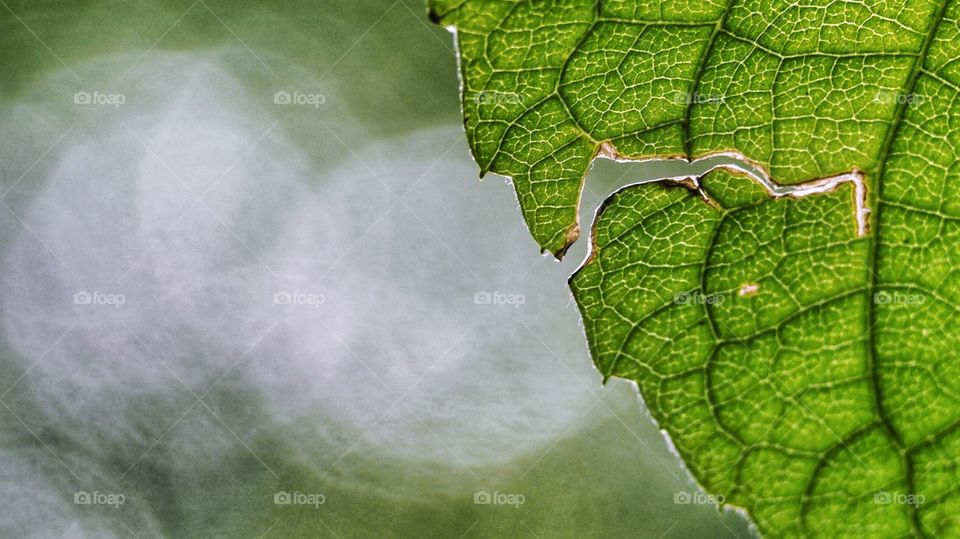 A las puertas del Otoño