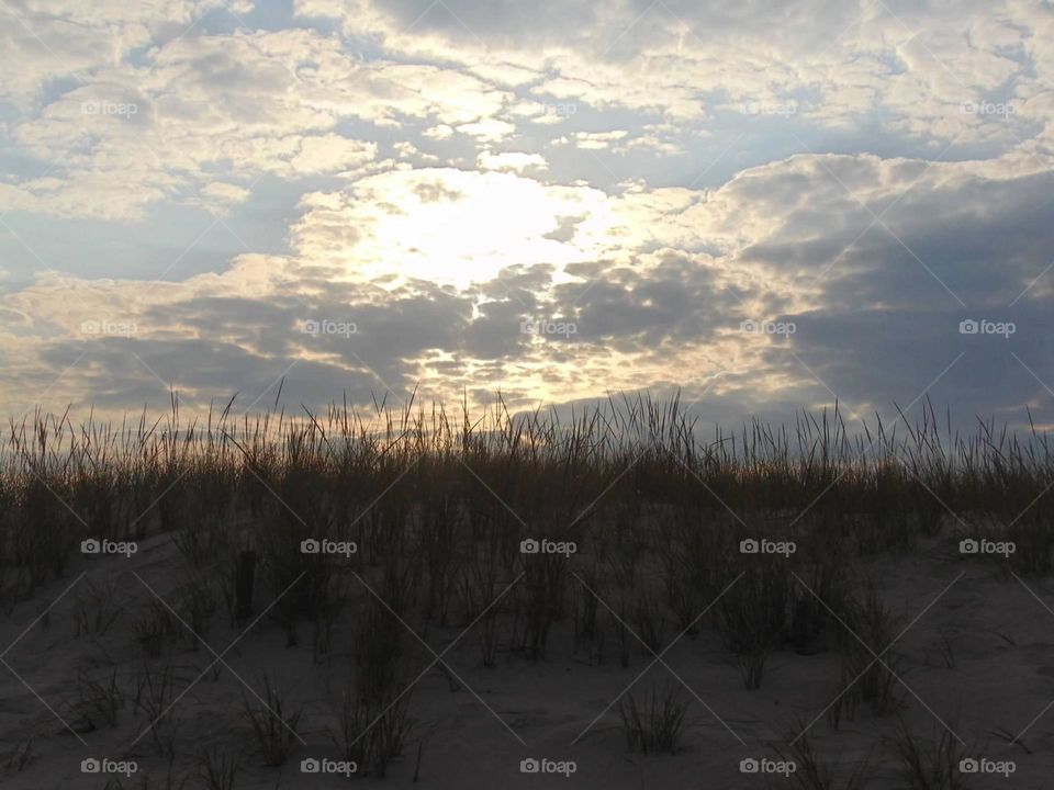 Shore grass and beach sky. 