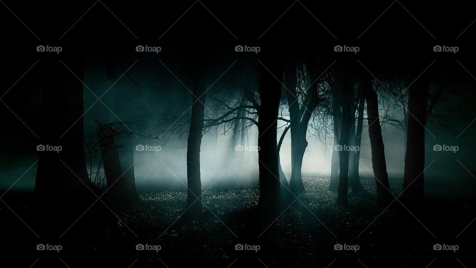 Dark forest in the night with white light
