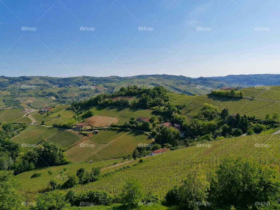 Langhe, very beautiful hills in Piedmont, Italy. Unesco. 🇮🇹🌄