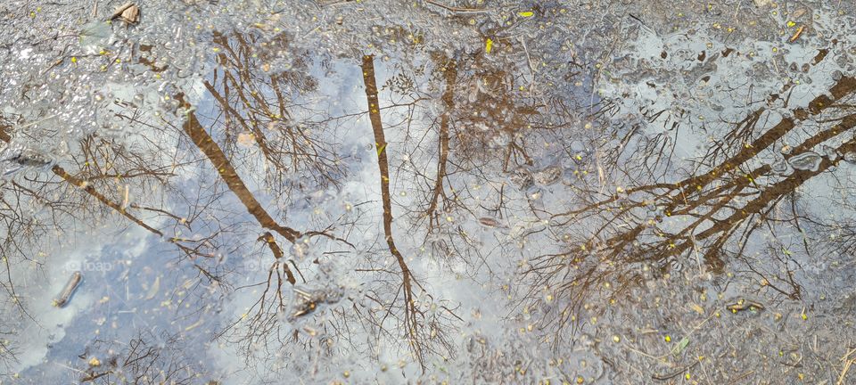 Puddles of water mirroring