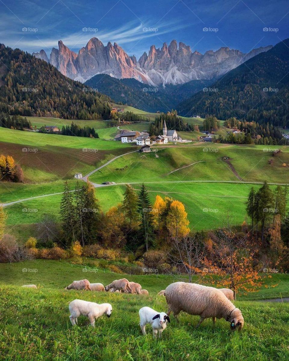 Glory be to God, the magnificent and picturesque view and the natural green trees are a view that is nothing more wonderful than it