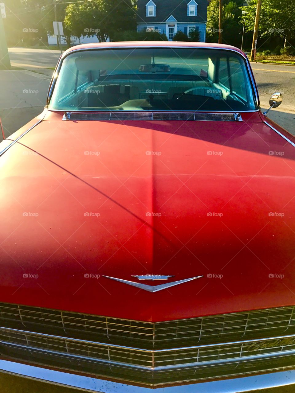 Hood of Red Thunderbird