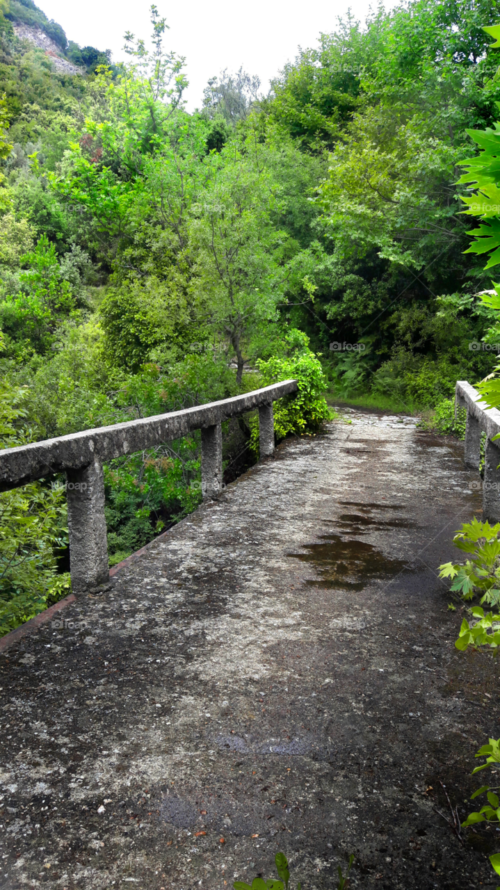 bridge over troubled water