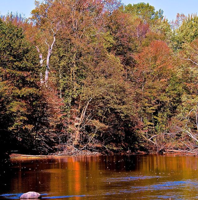 Fall water color
