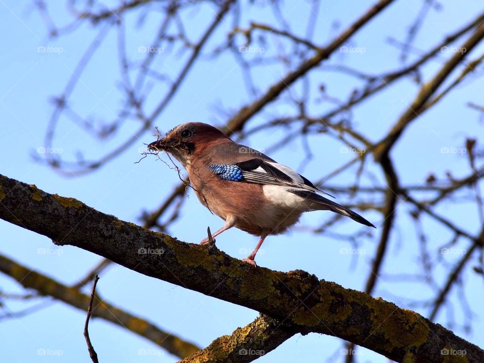 Hello, Handsome 💙