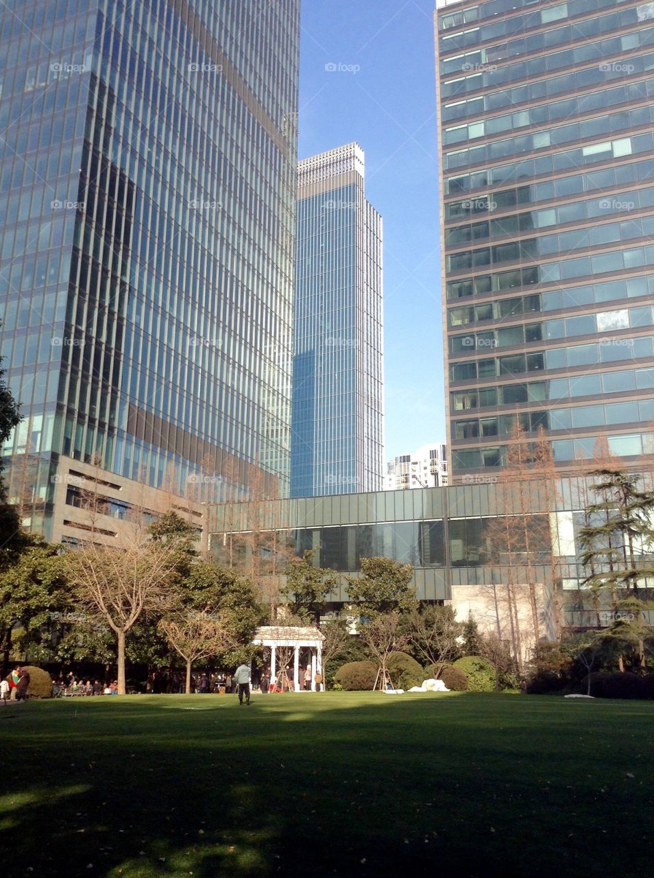 Park near skyscrapers in downtown 