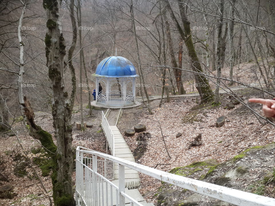 trail walks in the spa woods