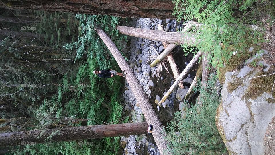 walkin above the stream