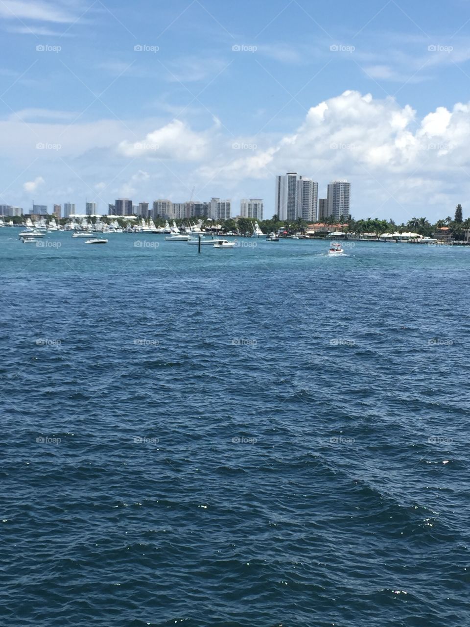 Views from a ship of Palm Beach 
