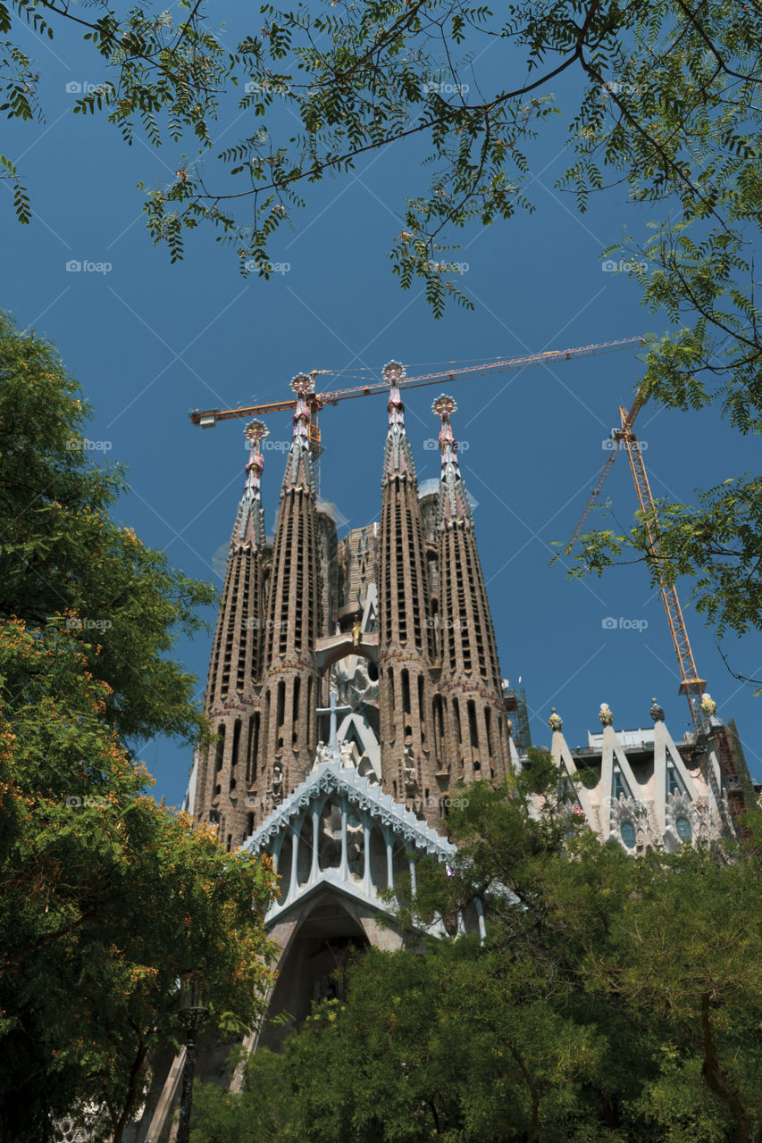 The mighty Sagrada Familia by Antoni Gaudi.
Behind trees, reflected in the streams and in the foreground is always a majestic architecture.