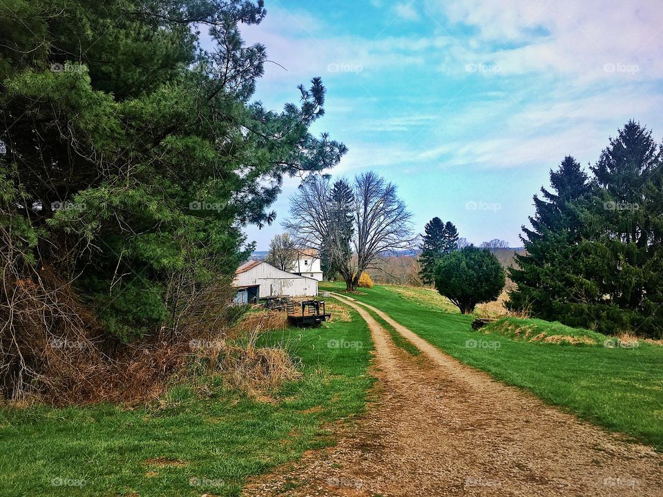 Country gravel road