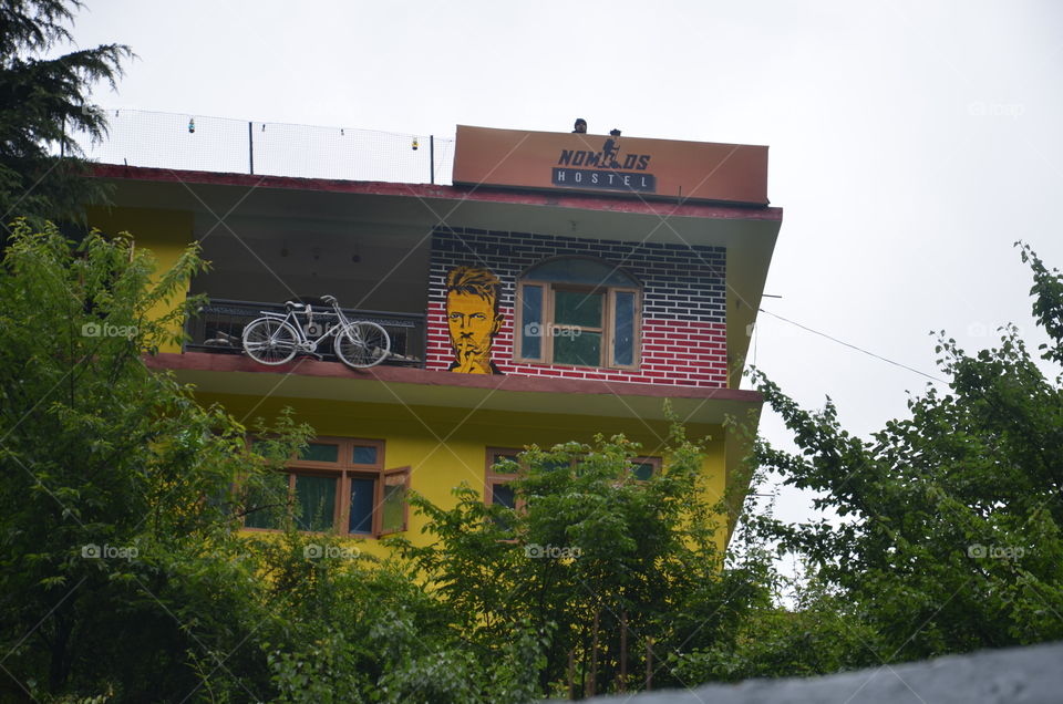 hostel
cycle
creativity
tree
painting
greenry