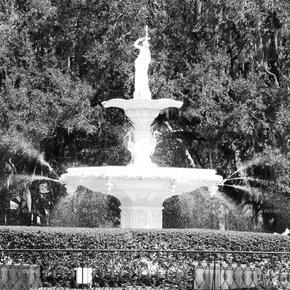 fountain. fountain in Savannah main square