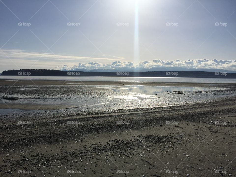 Sun on the Beach . Sunny Beachy Day 