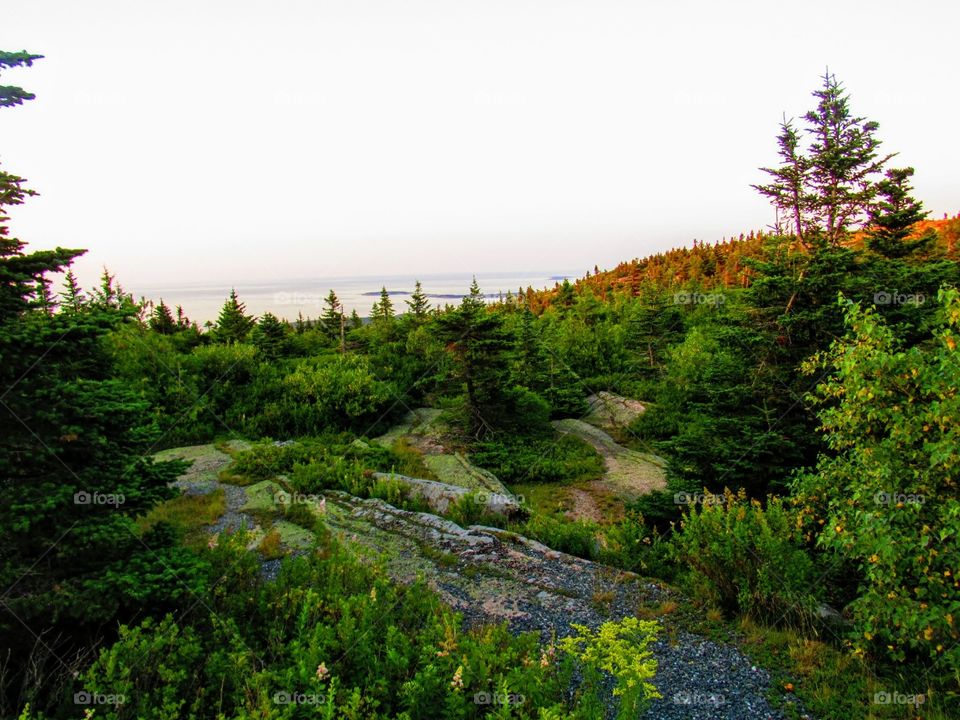 Ocean View at sunrise atop Cadillac Mountain in Acadia National Park, Maine