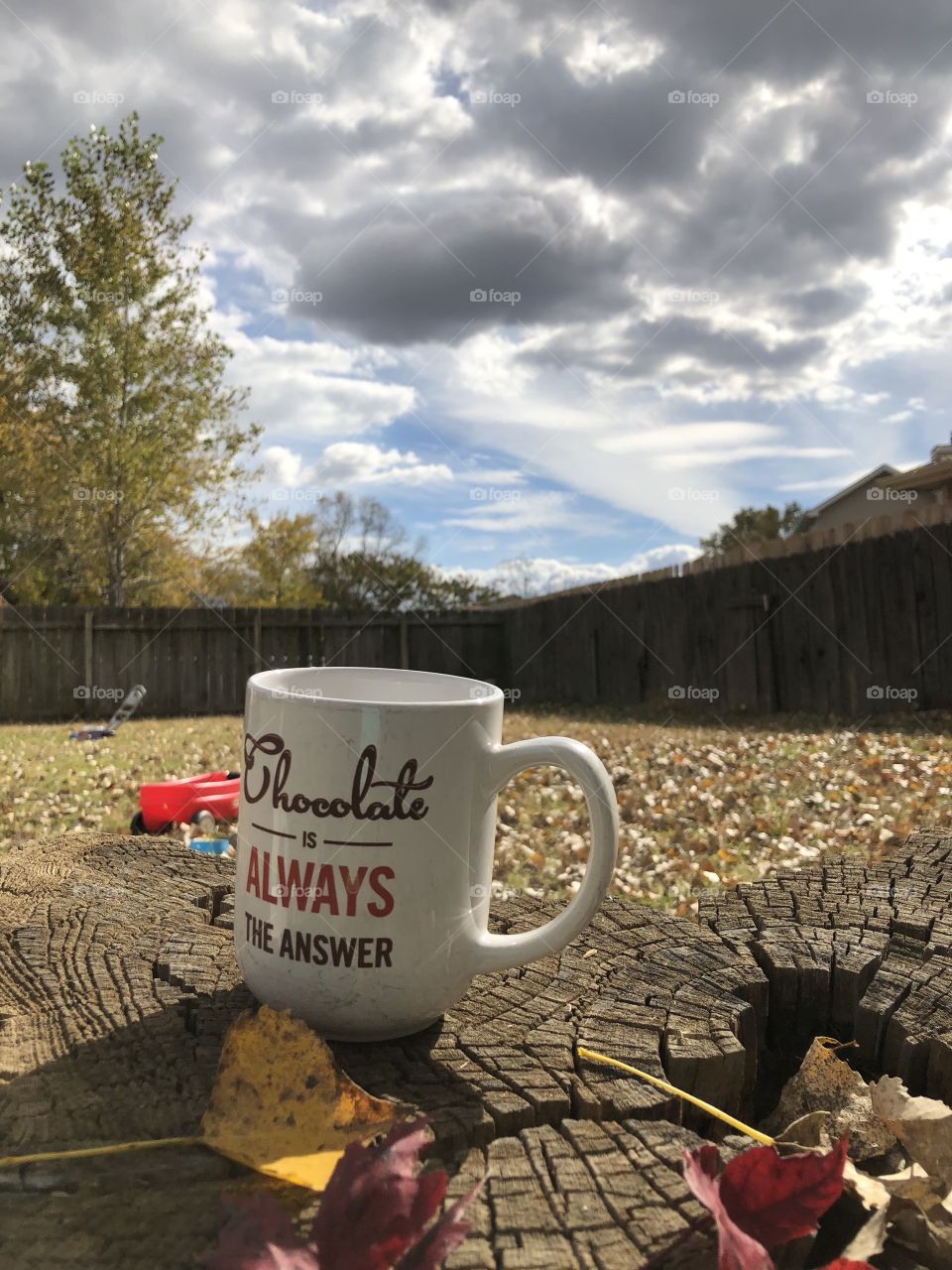 A warm hot drink on a nice cool afternoon that is just gorgeous!