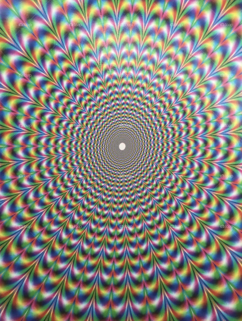 Look deep into the circle - Geometry is a type of math that deals with points, lines, shapes, and surfaces.
Examples are Circles, Rectangles, and Triangles. A circle is a round-shaped figure that has no corners or edges