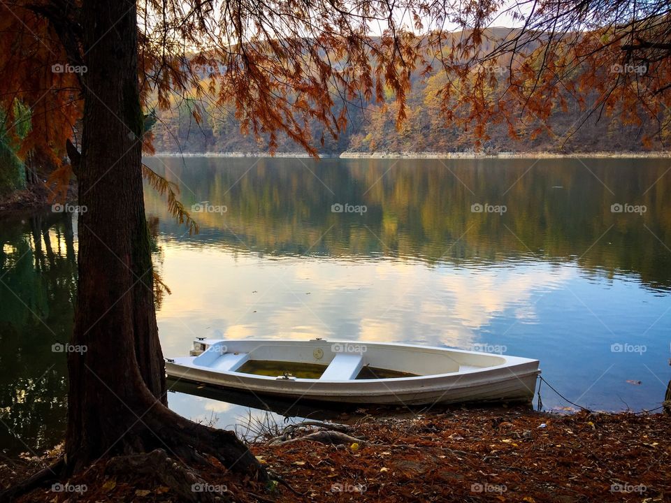 Single white boat on the lake near a tree with brown foliage