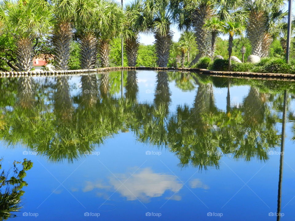 Reflecting pool in the desert