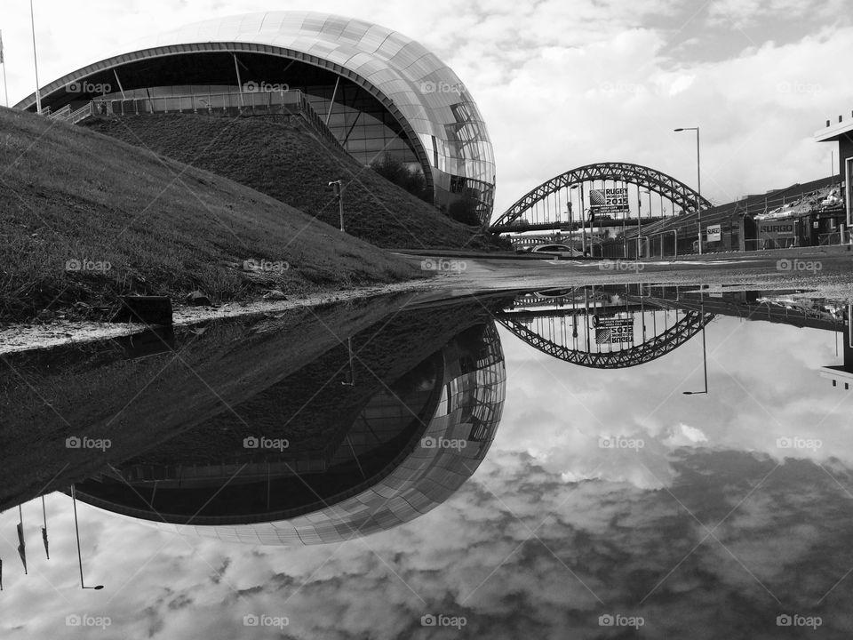 Sage Reflections. The sun came out from behind a cloud and I caught this reflection in a puddle ...