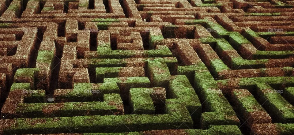 Maze