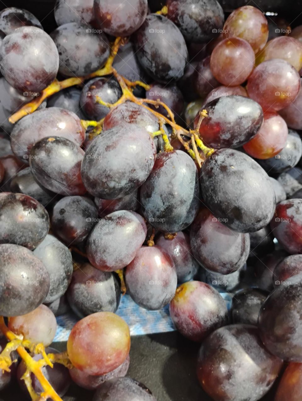 Uva Brasil. A uva roxa é rica em antioxidantes. As uvas, tanto as roxas quanto as verdes são ricas em nutrientes, fibras e vitaminas A, C e K, uma vitamina importante, para aumentar a fixação de cálcio nos ossos, ajudando na prevenção da osteoporose