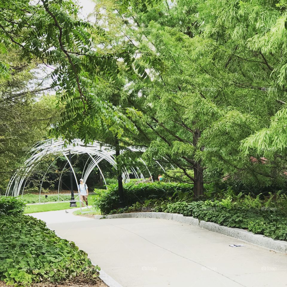 Public parks and walkways 