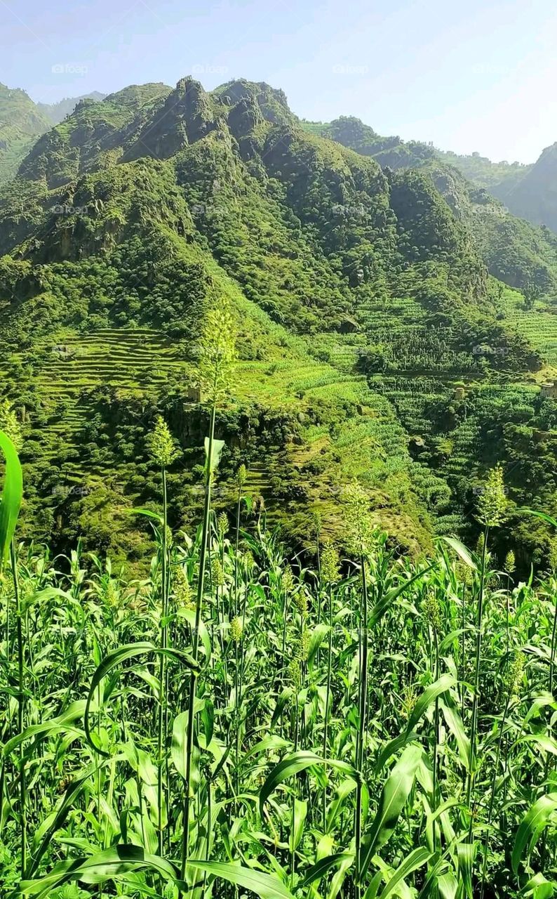 Glory be to God, the magnificent and picturesque view and the natural green trees are a view that is nothing more wonderful than it