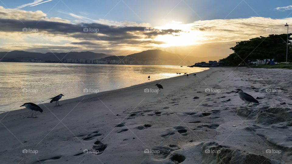 Sun rising in Florianopolis - Santa Catarina - Brasil