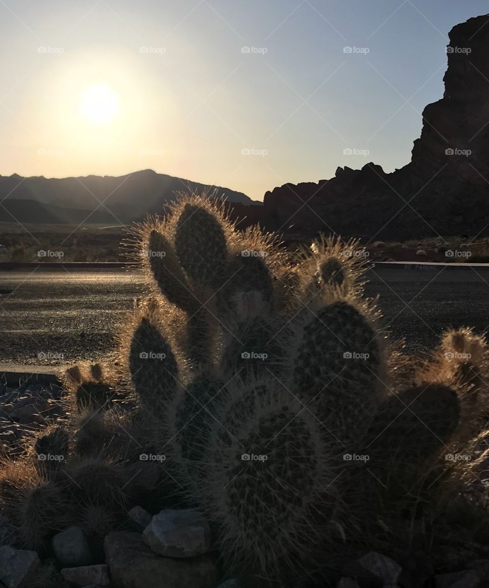 Red rock Valley, Las Vegas.