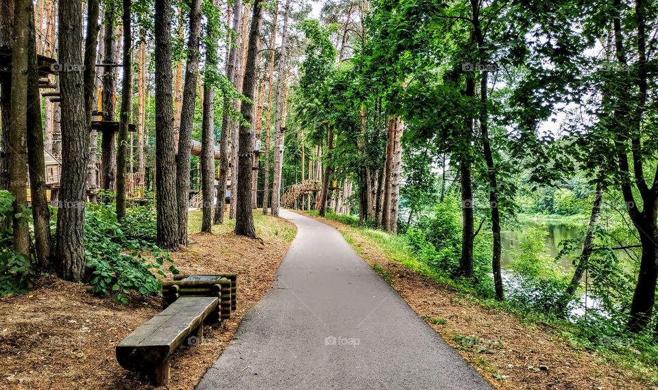 Path in the forest. (Lithuania, July, 2019).