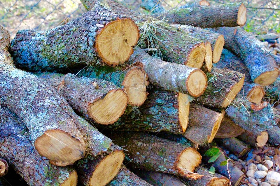 Log pile