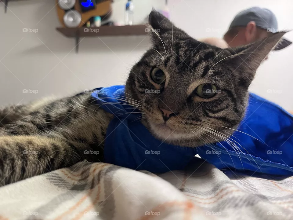 Loki
