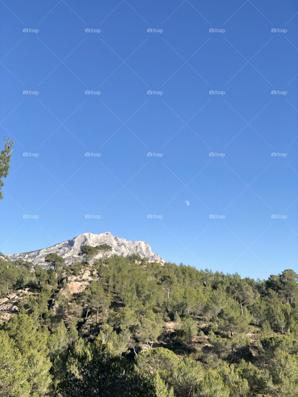 Top moon and mountain