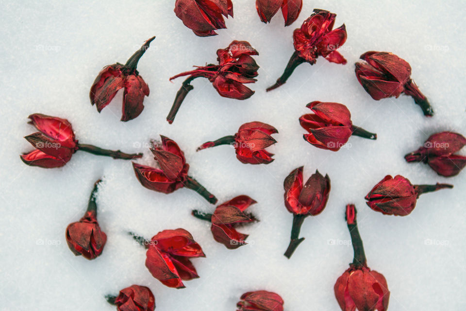 Dry red flowers