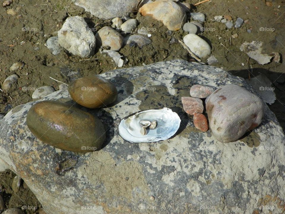 Rocks and shells we collected off the edge of South Saskatchewan River in Medicine Hat, Alberta, Canada 