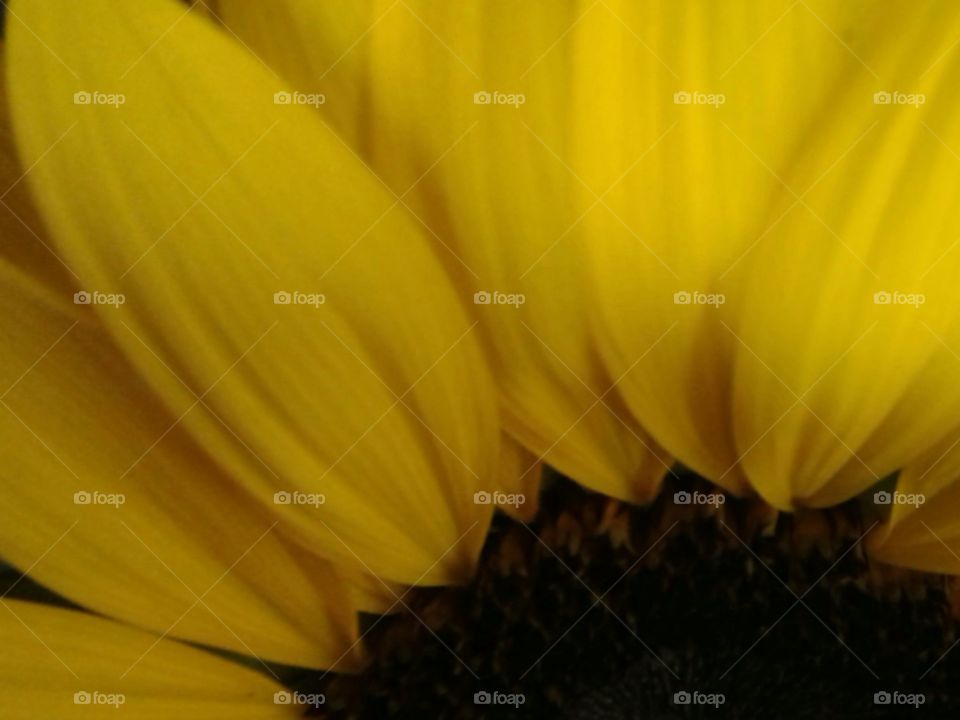 I need a little bit sunshine