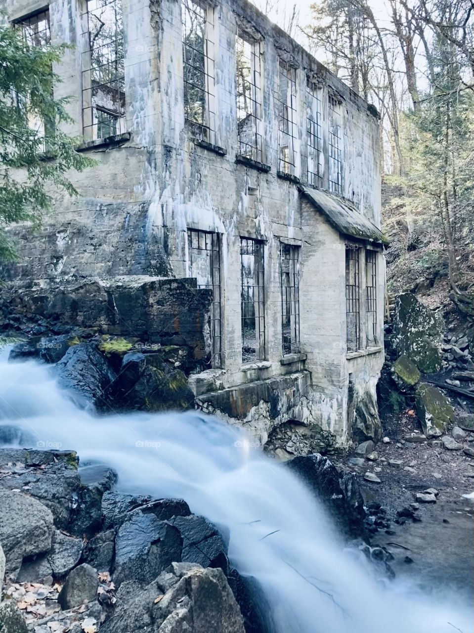 A late Fall hike to the Carbide Willson Ruins in Gatineau Park.