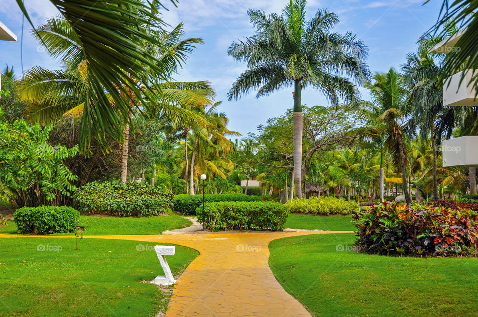 yellow track. The hotel territory in Dominican Republic